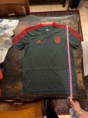 adidas FC Bayern Munich 2018-19 Training Jersey Medium Grey/Red